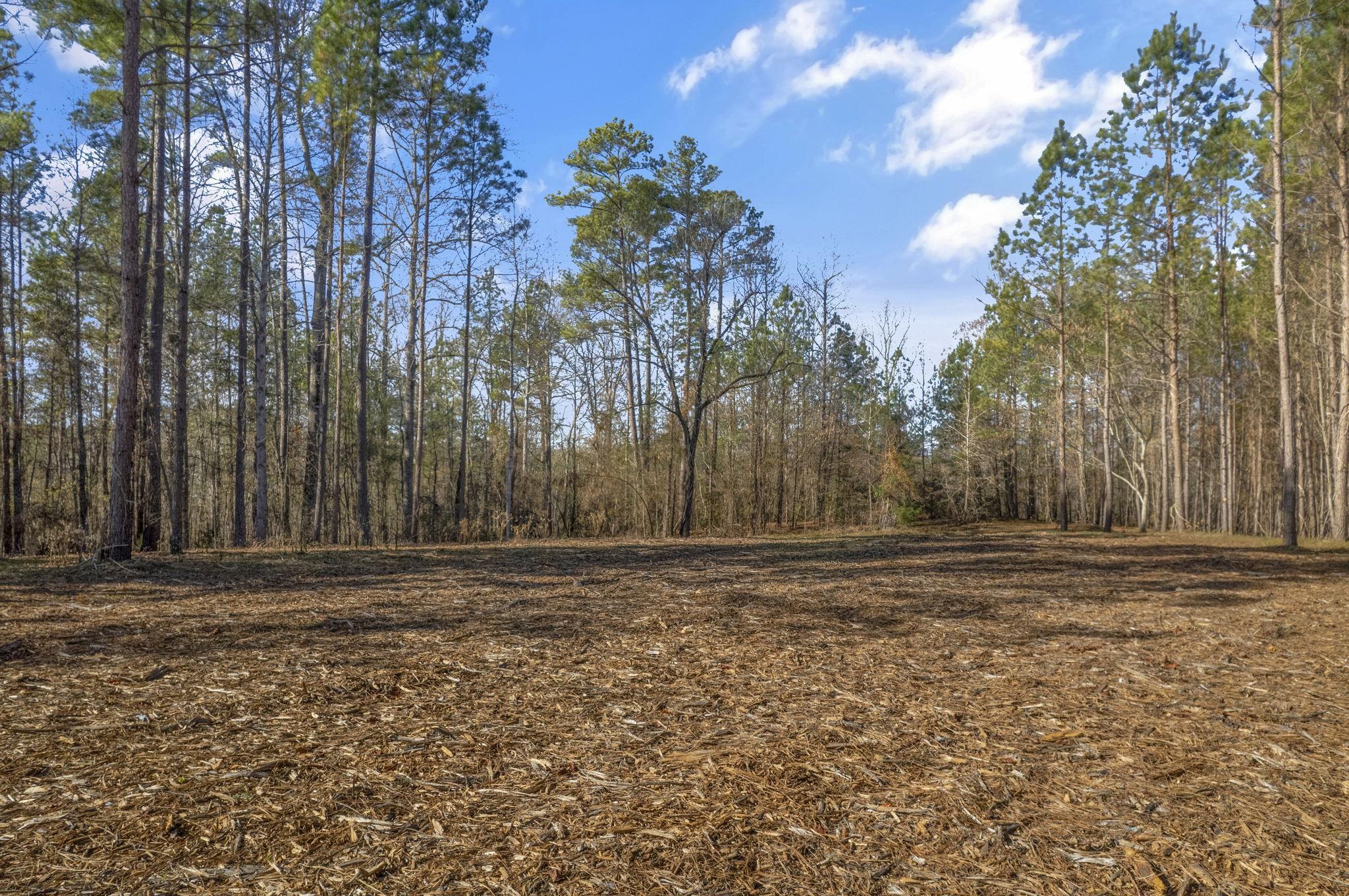 Lot 36 Rock Hill Inman, SC 29349 - Photo 3 of 12