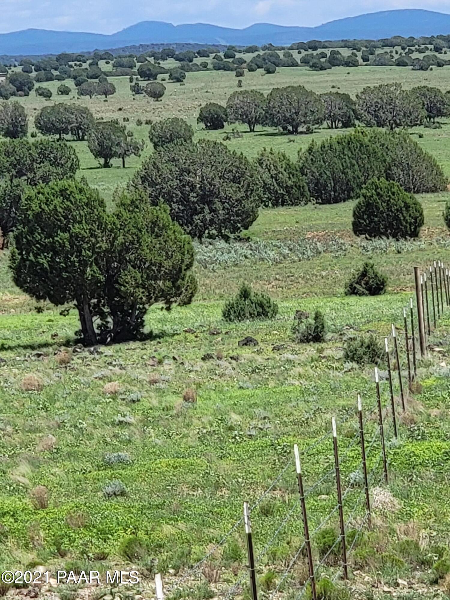 0 Gleed Station Road Ash Fork, AZ 86320 - Photo 12 of 19 20210807_124952