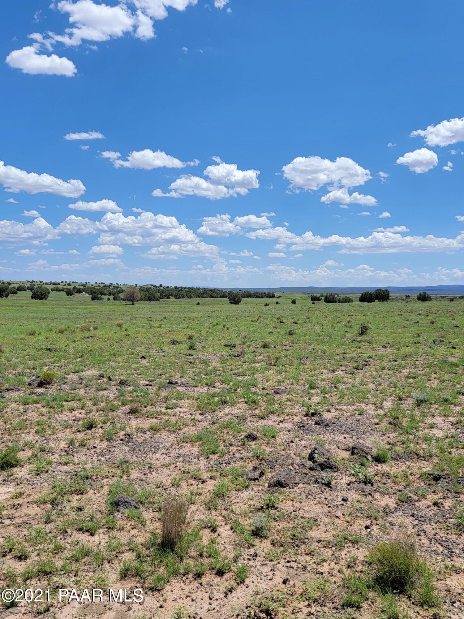0 Gleed Station Road Ash Fork, AZ 86320 - Photo 19 of 19 20210807_131432