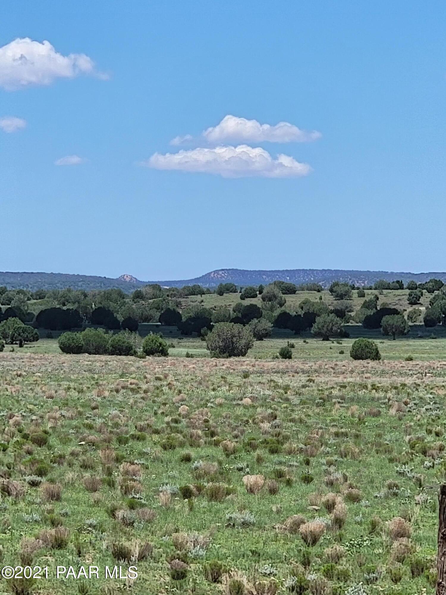 0 Gleed Station Road Ash Fork, AZ 86320 - Photo 3 of 19 20210807_124916