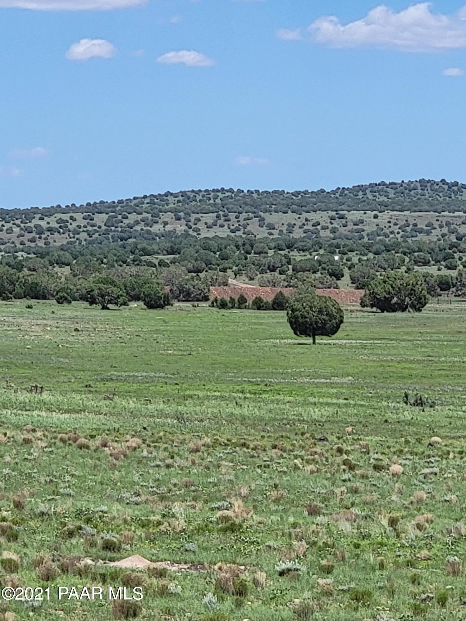 0 Gleed Station Road Ash Fork, AZ 86320 - Photo 5 of 19 20210807_124925