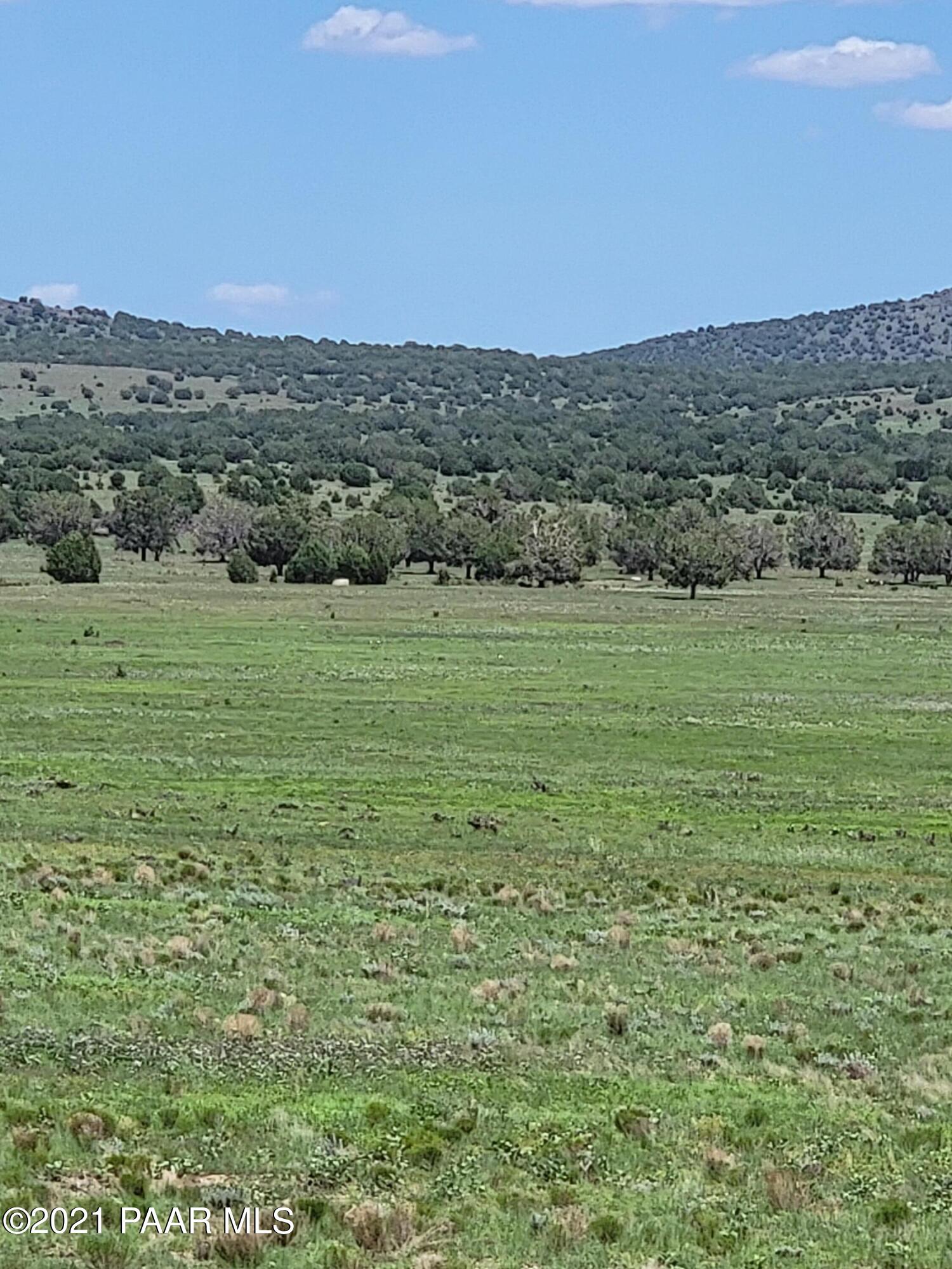 0 Gleed Station Road Ash Fork, AZ 86320 - Photo 6 of 19 20210807_124927