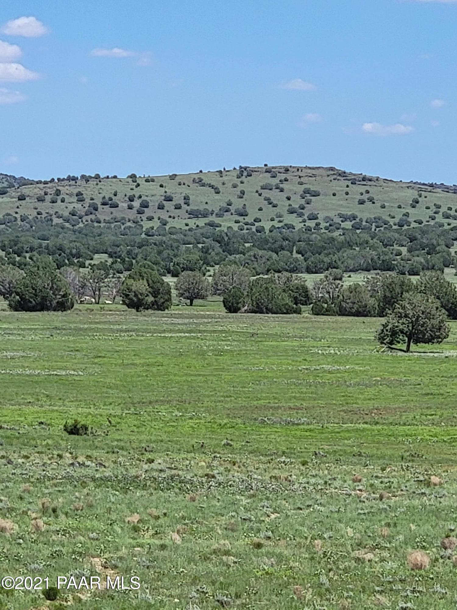 0 Gleed Station Road Ash Fork, AZ 86320 - Photo 7 of 19 20210807_124930