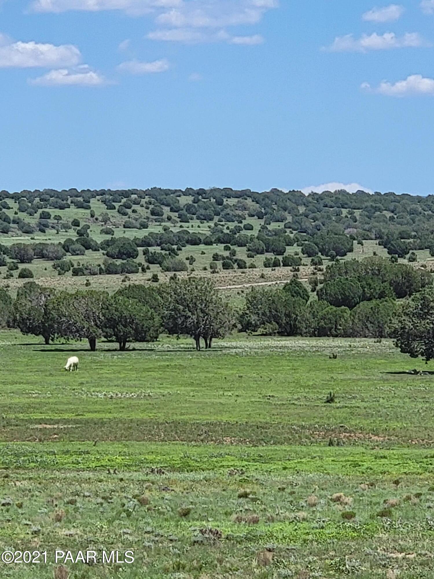 0 Gleed Station Road Ash Fork, AZ 86320 - Photo 10 of 19 20210807_124939