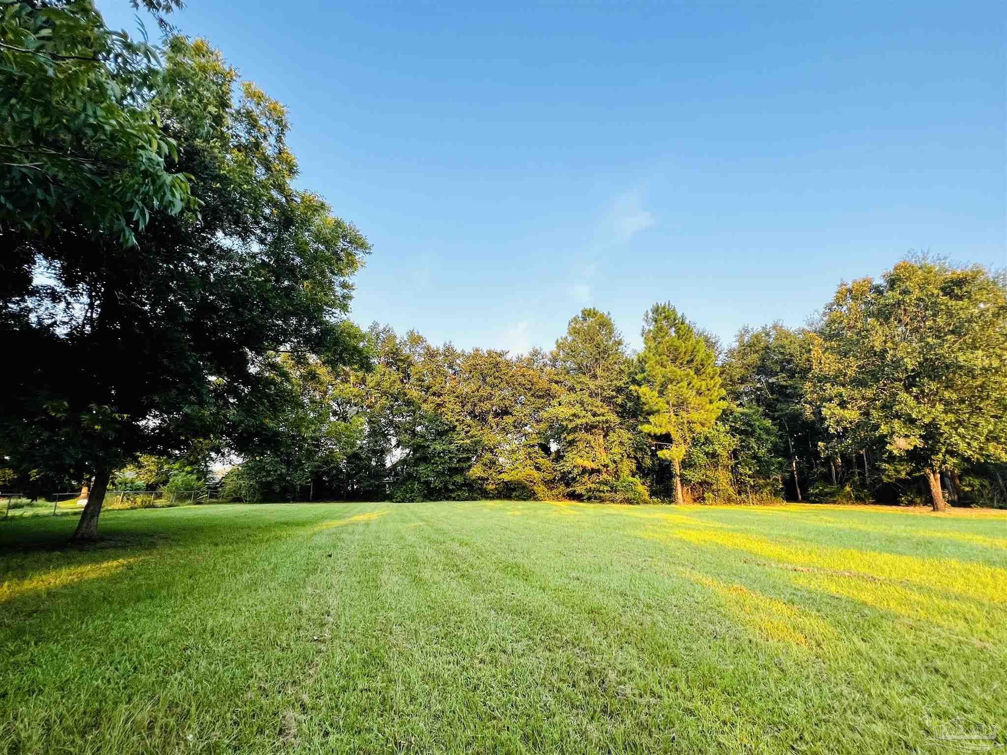 Pear, pecan, black walnut and chestnut trees.