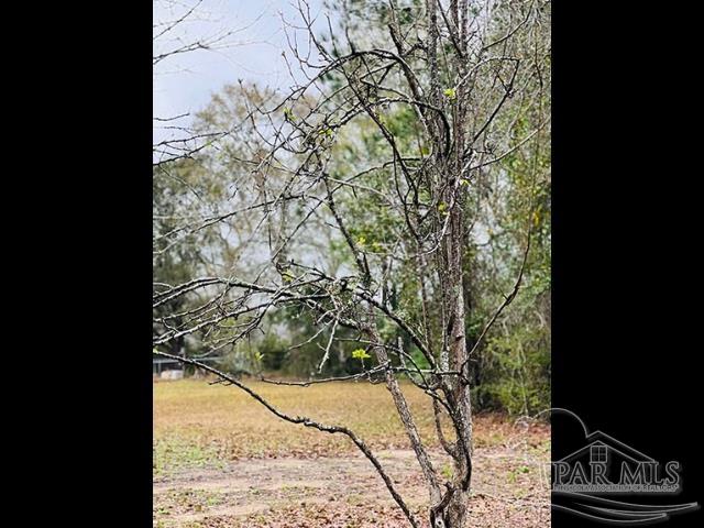 Loop Road Pace, FL 32571 - Photo 13 of 15