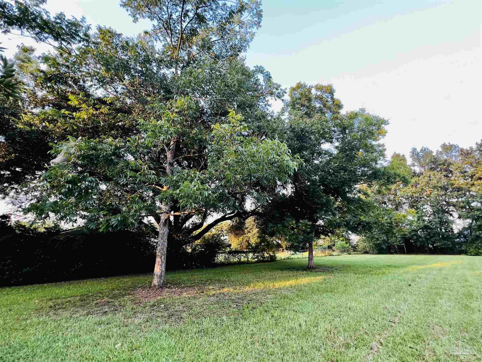 Loop Road Pace, FL 32571 - Photo 3 of 15