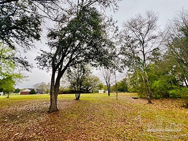 Loop Road Pace, FL 32571 - Photo 5 of 15