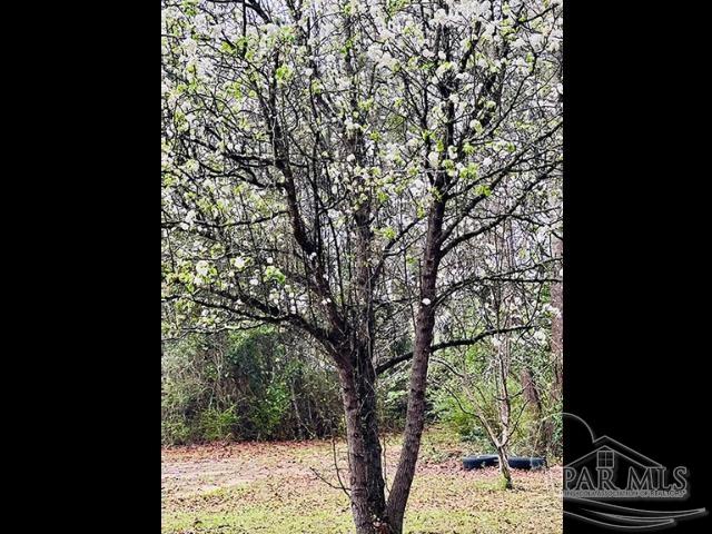 Loop Road Pace, FL 32571 - Photo 7 of 15
