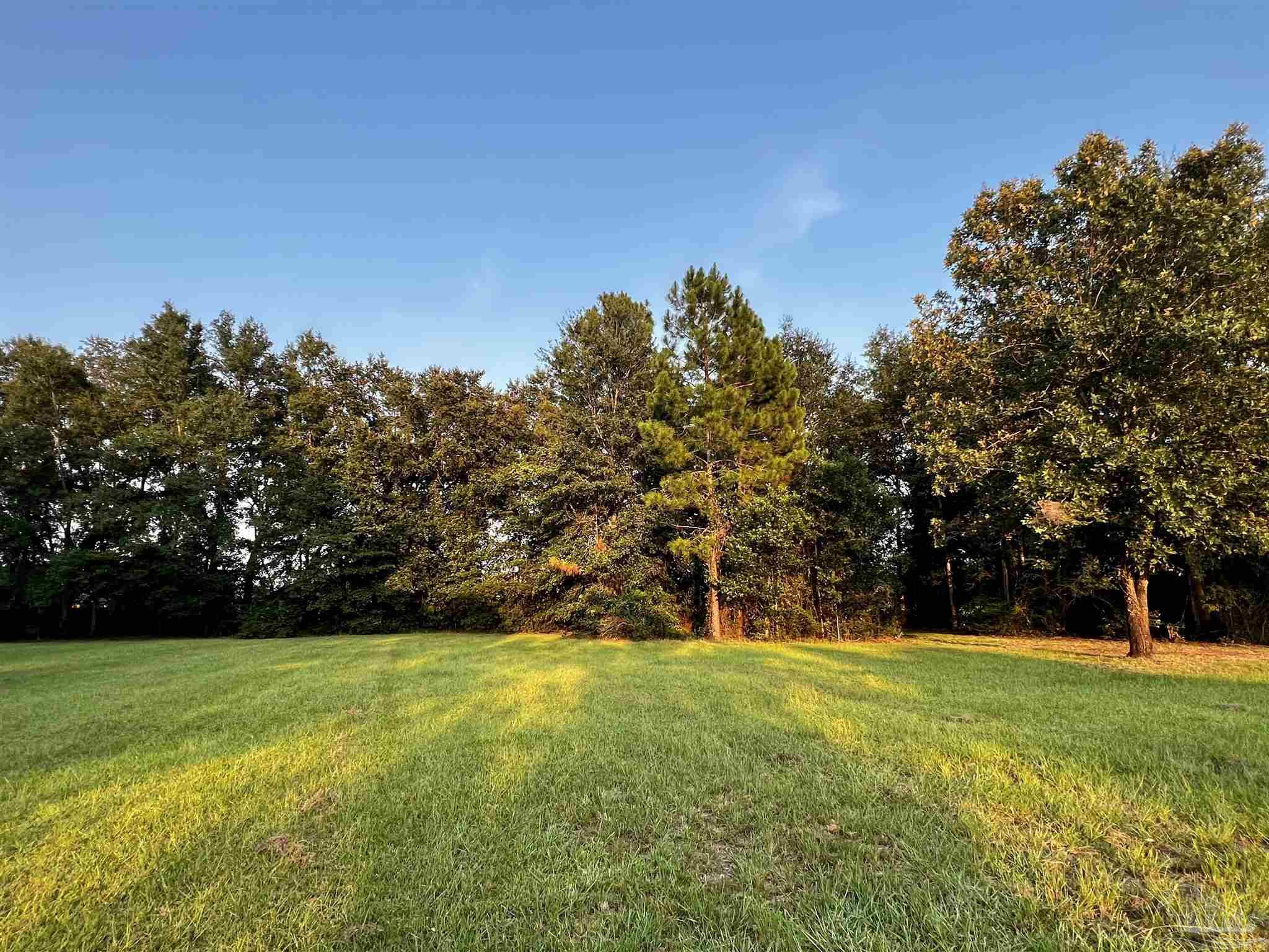 Loop Road Pace, FL 32571 - Photo 10 of 15 Already cleared with grass, treeline in back.