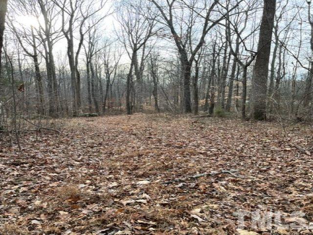 Lot W Brothers Drive Roxboro, NC 27573 - Photo 2 of 12 a view of a yard with trees