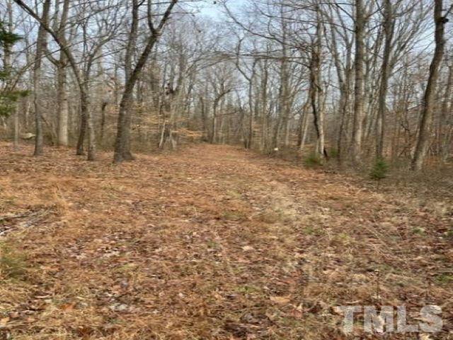 Lot W Brothers Drive Roxboro, NC 27573 - Photo 3 of 12 a backyard of a house with lots of green space