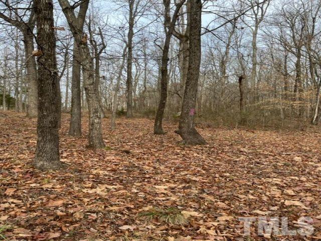 Lot W Brothers Drive Roxboro, NC 27573 - Photo 4 of 12 a backyard of a house with lots of green space