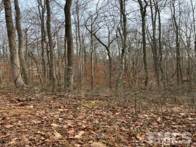 Lot W Brothers Drive Roxboro, NC 27573 - Photo 5 of 12 a view of a yard with trees in the background