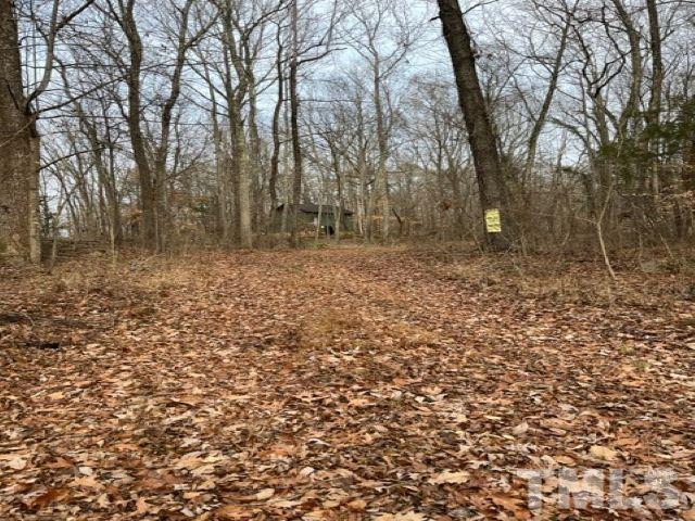 Lot W Brothers Drive Roxboro, NC 27573 - Photo 6 of 12 a view of a yard with trees