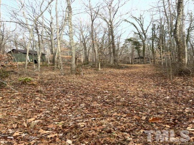 Lot W Brothers Drive Roxboro, NC 27573 - Photo 8 of 12 a view of a yard with trees