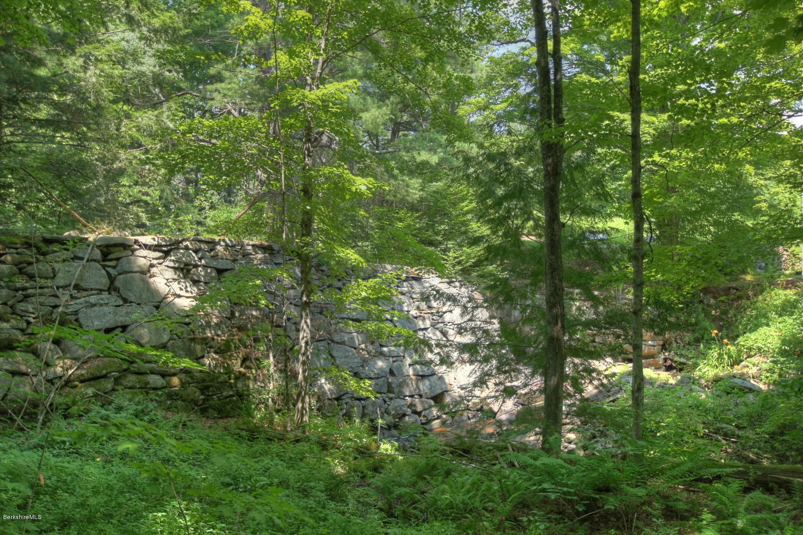 285 North Beech Plain Road Sandisfield, MA 01255 - Photo 14 of 40 a view of a forest with lots of trees