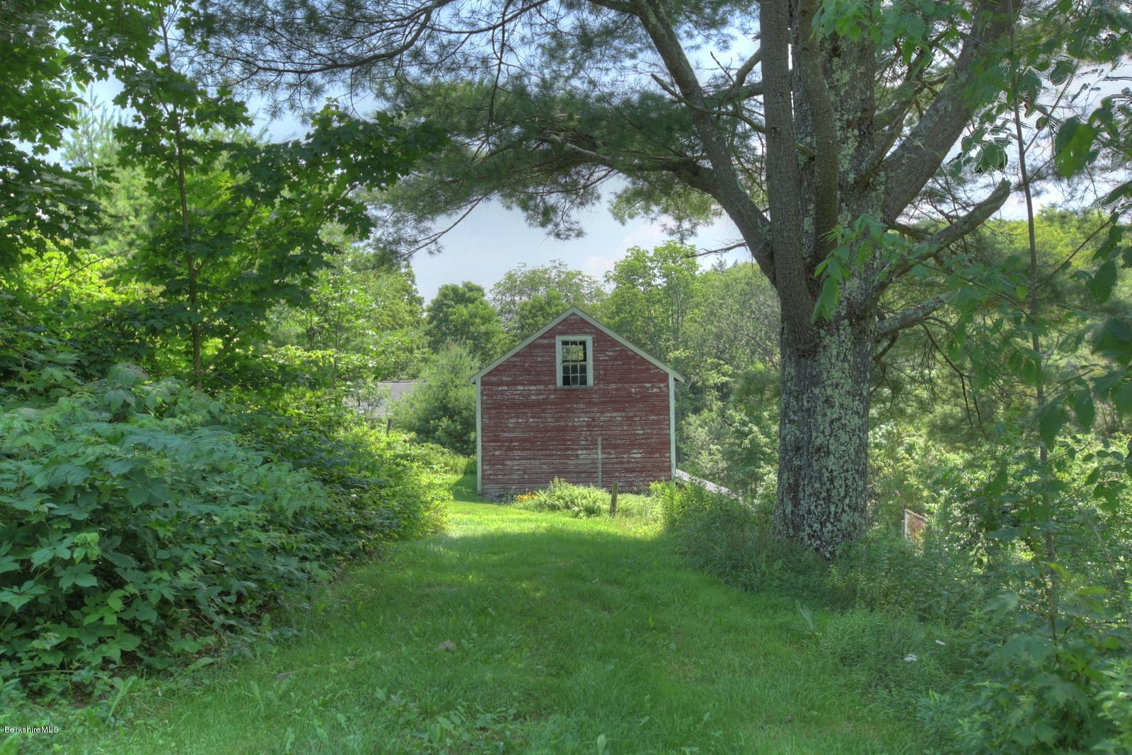 285 North Beech Plain Road Sandisfield, MA 01255 - Photo 3 of 40 a green field in middle of a forest