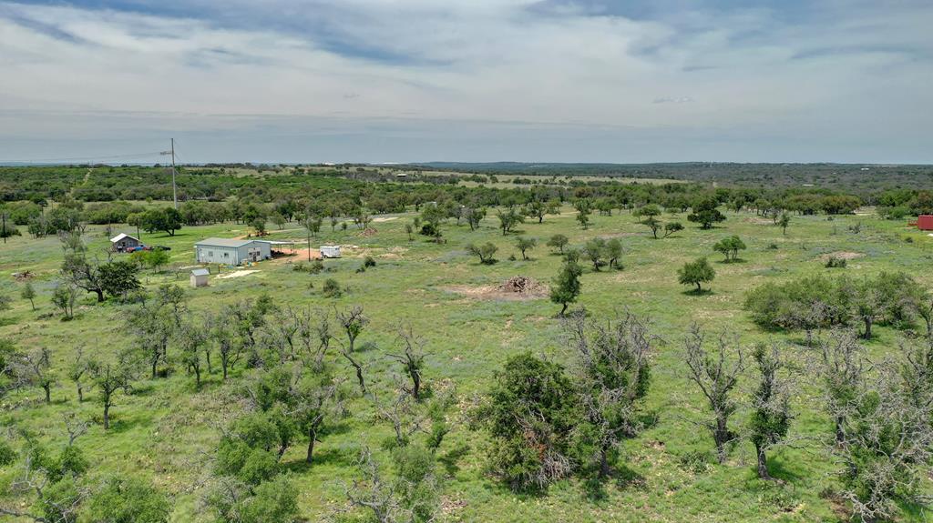 1443 Gina Road Harper, TX 78631 - Photo 14 of 49 a view of a field with lots of trees
