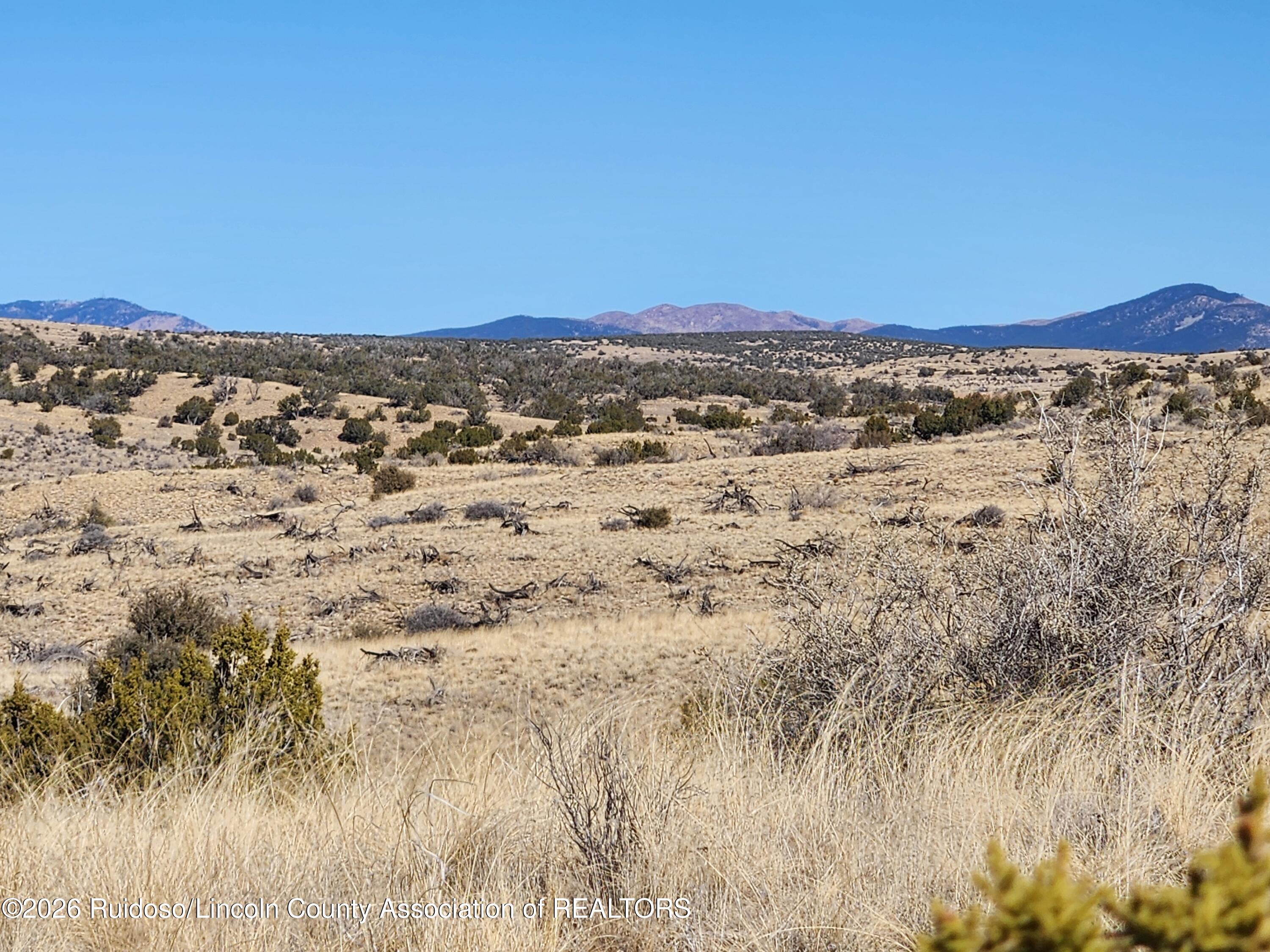 Lot 175 Windmill Road Carrizozo, NM 88301 - Photo 9 of 21 Gallery Image 9