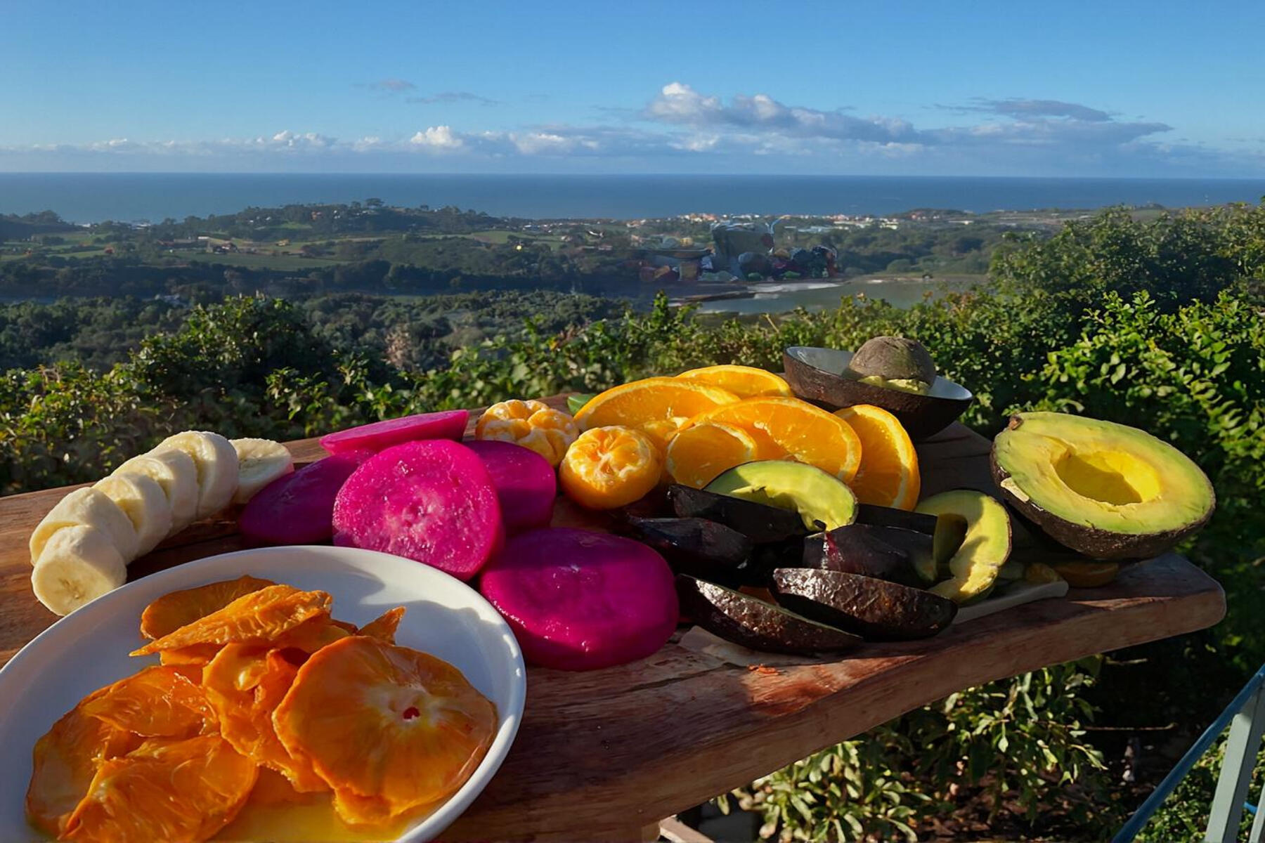 7401 Shepard Mesa Road Carpinteria, CA 93013 - Photo 2 of 14 an aerial view of a swimming pool patio and mountain view