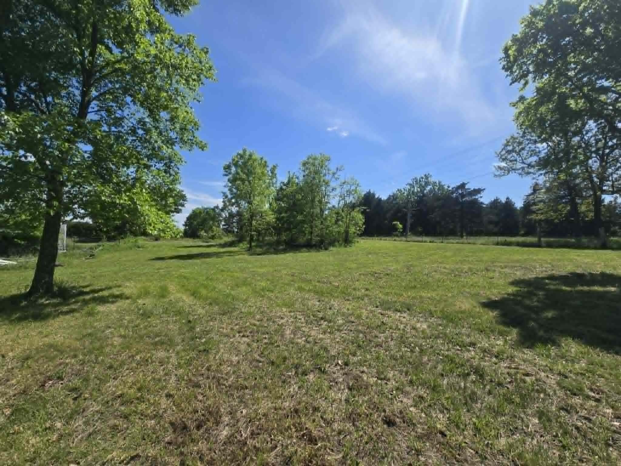 14008 Airport Road Cabool, MO 65689 - Photo 7 of 16 c3ba3aa8-ddd8-4821-8278-d87ba66f20f5
