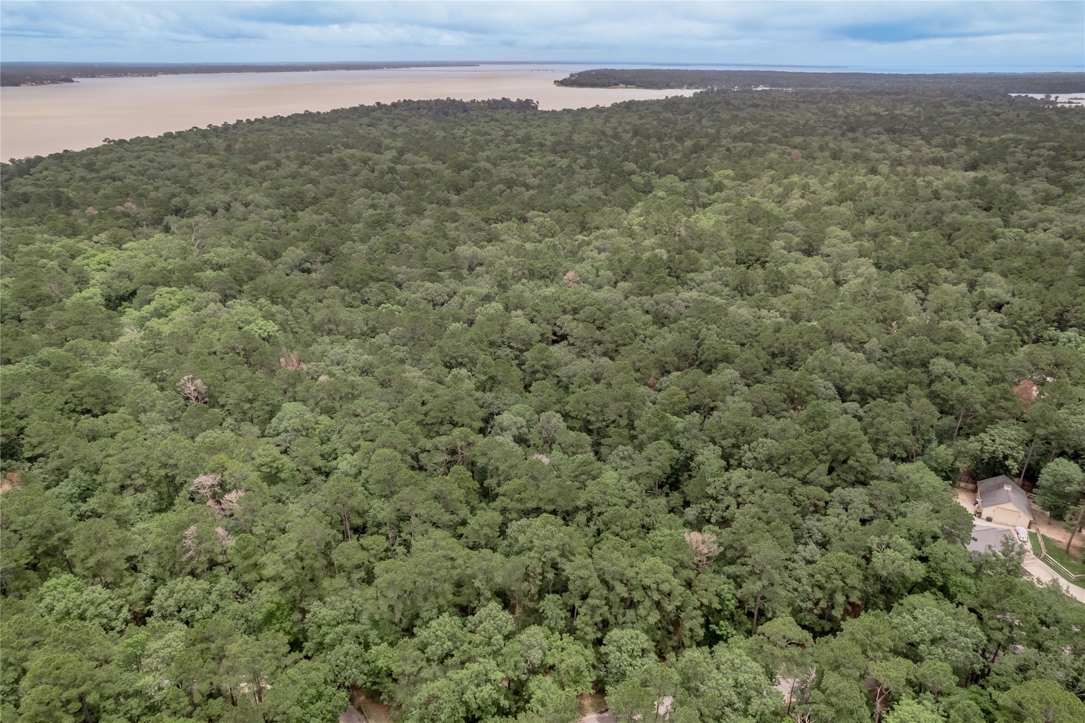 Lot 9 Rohm Place Point Blank, TX 77364 - Photo 25 of 26