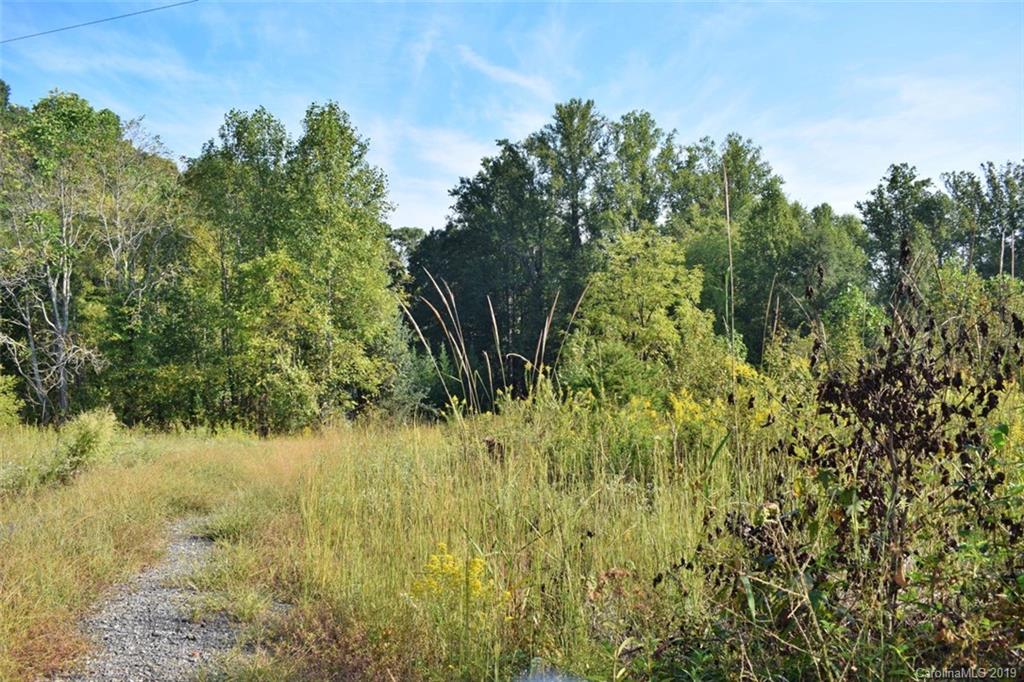 190 Oak Grove Road Landrum, SC 29356 - Photo 3 of 48