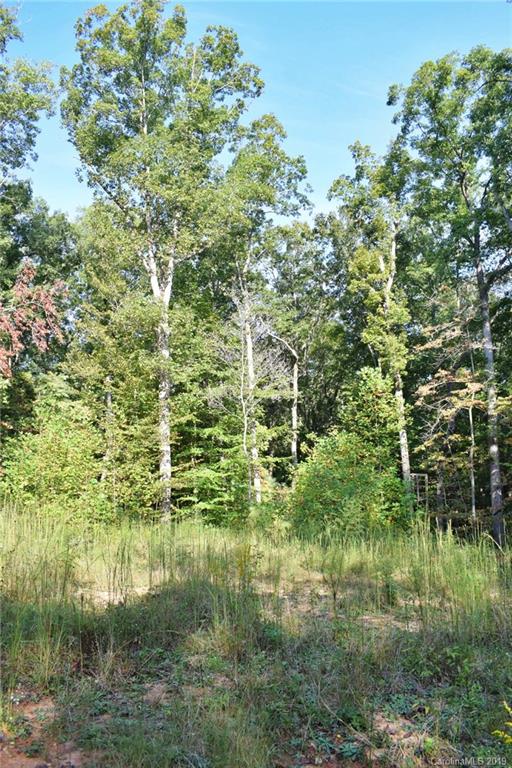 190 Oak Grove Road Landrum, SC 29356 - Photo 21 of 48