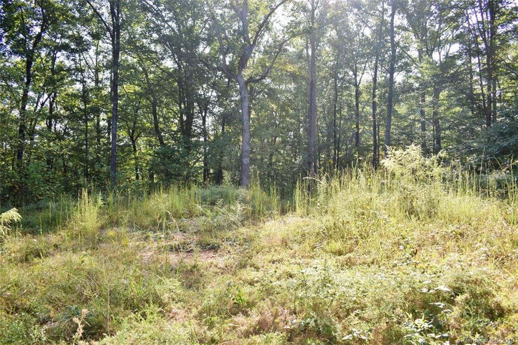 190 Oak Grove Road Landrum, SC 29356 - Photo 24 of 48
