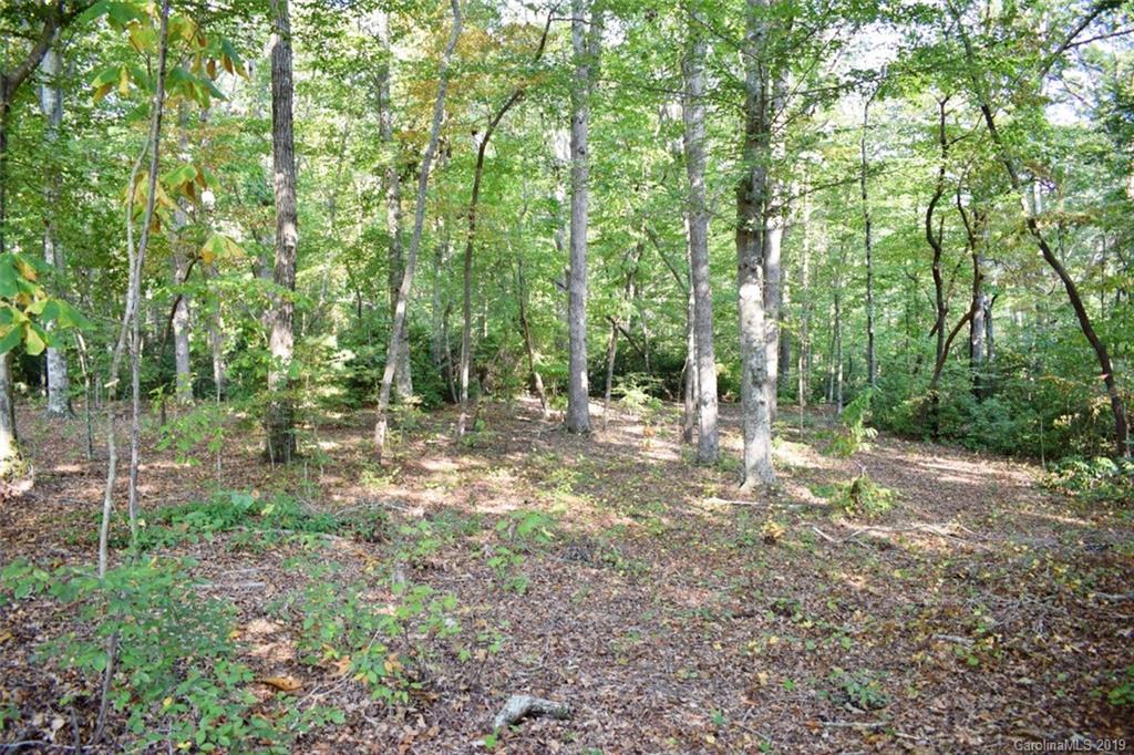 190 Oak Grove Road Landrum, SC 29356 - Photo 25 of 48