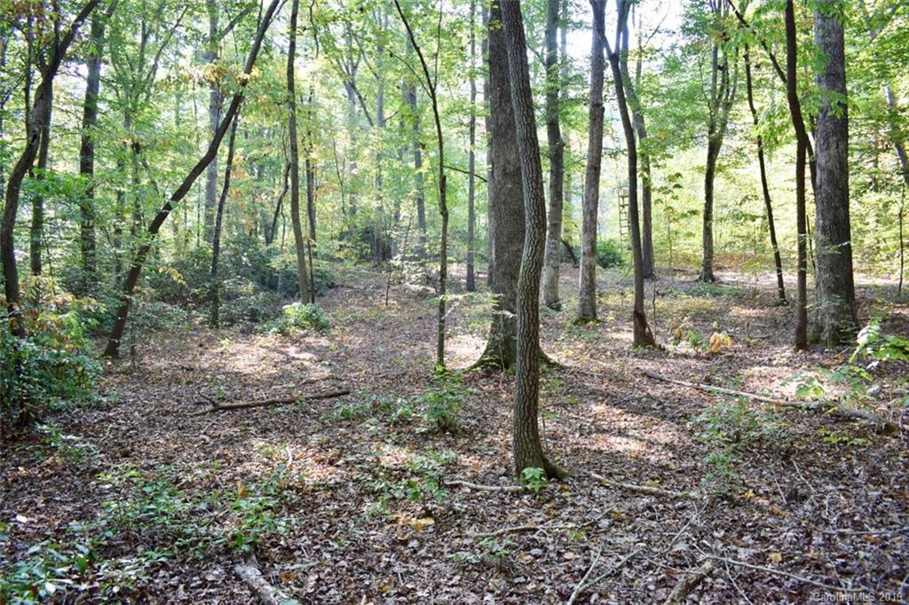 190 Oak Grove Road Landrum, SC 29356 - Photo 26 of 48