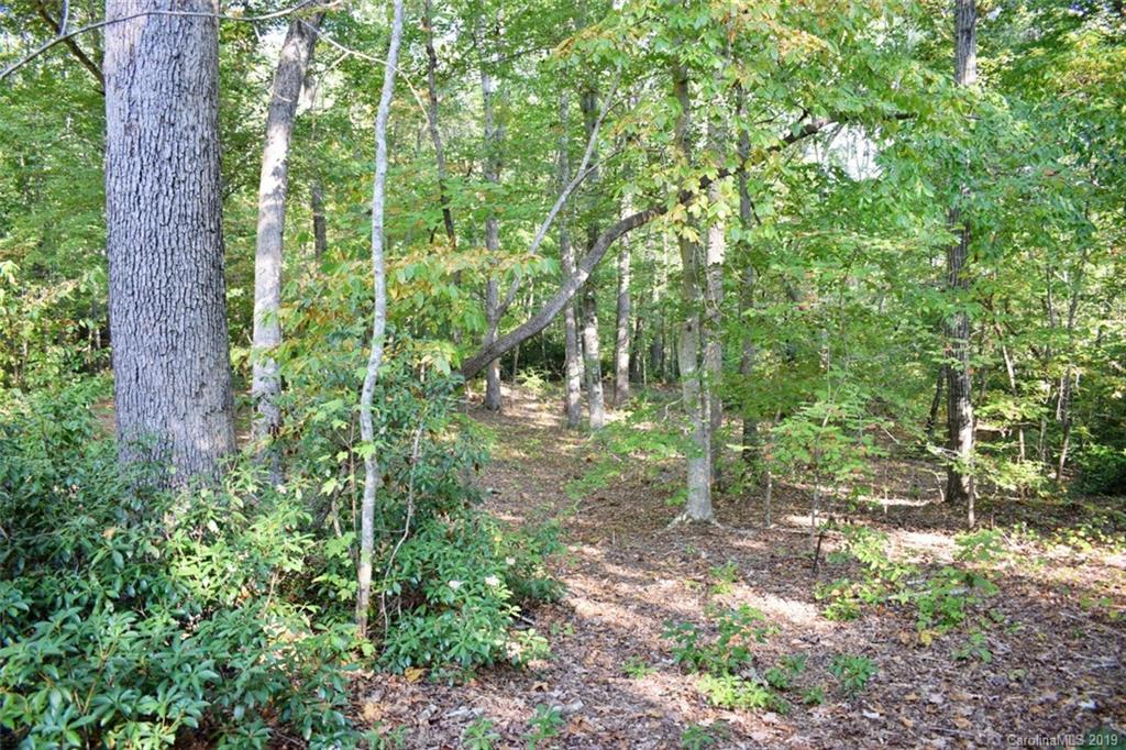 190 Oak Grove Road Landrum, SC 29356 - Photo 4 of 48