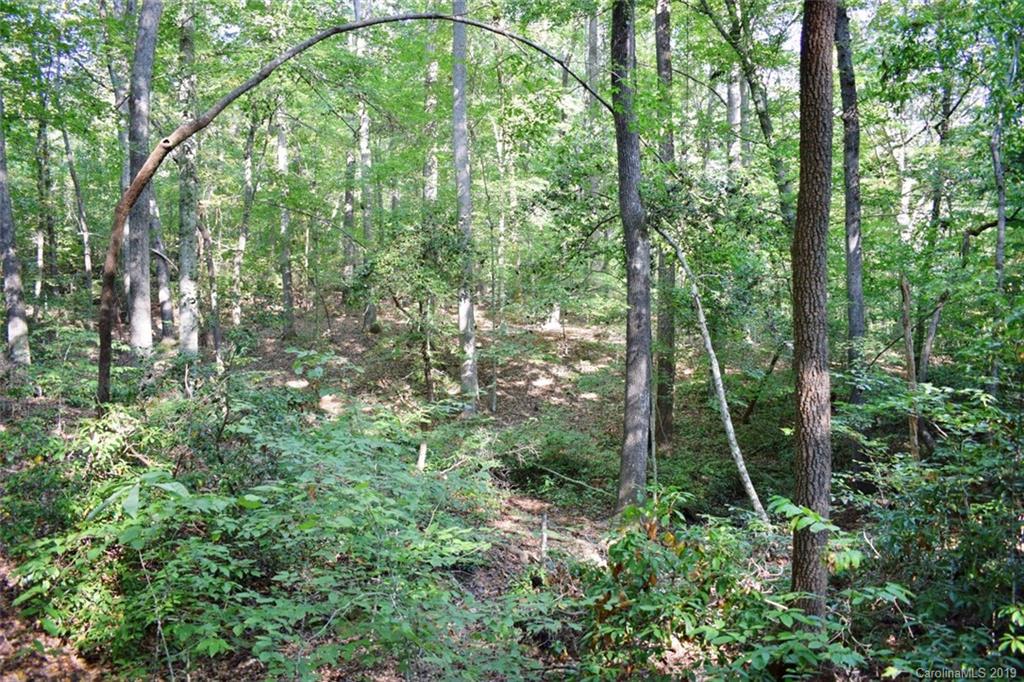 190 Oak Grove Road Landrum, SC 29356 - Photo 32 of 48