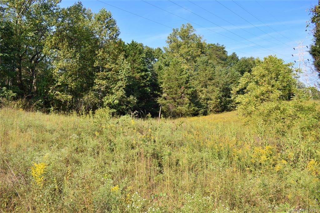 190 Oak Grove Road Landrum, SC 29356 - Photo 35 of 48