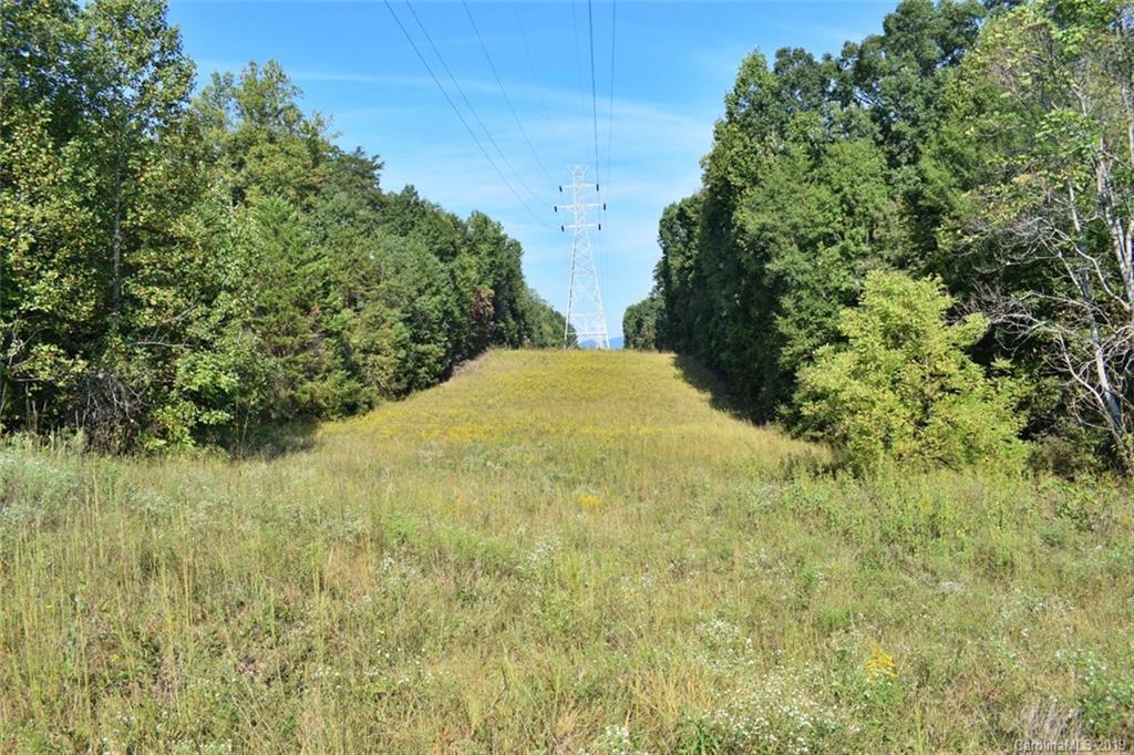 190 Oak Grove Road Landrum, SC 29356 - Photo 36 of 48