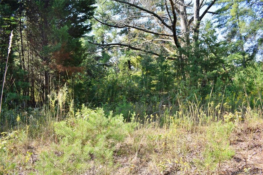 190 Oak Grove Road Landrum, SC 29356 - Photo 40 of 48