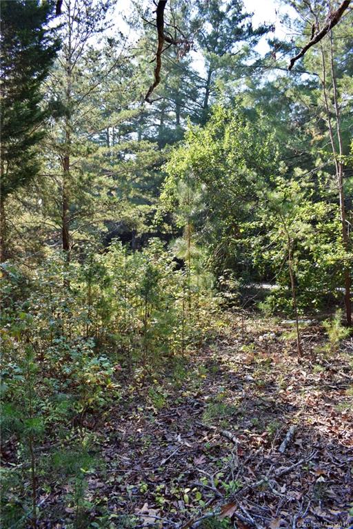 190 Oak Grove Road Landrum, SC 29356 - Photo 42 of 48