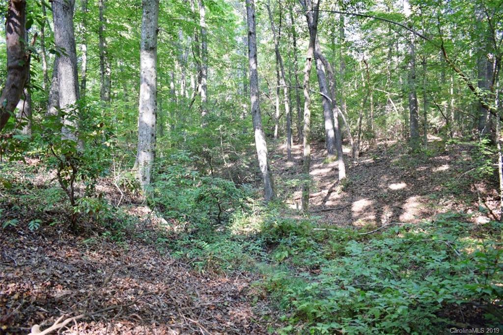 190 Oak Grove Road Landrum, SC 29356 - Photo 43 of 48