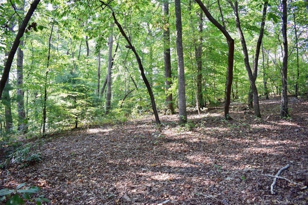 190 Oak Grove Road Landrum, SC 29356 - Photo 44 of 48