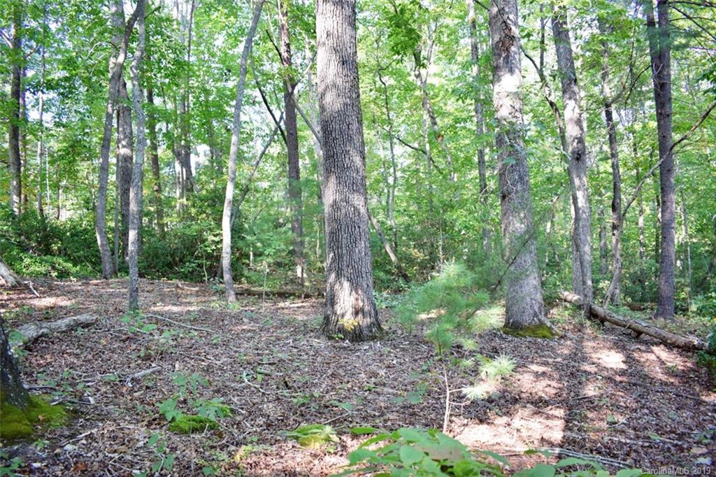 190 Oak Grove Road Landrum, SC 29356 - Photo 45 of 48