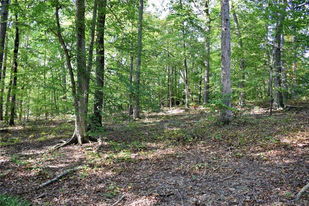 190 Oak Grove Road Landrum, SC 29356 - Photo 47 of 48