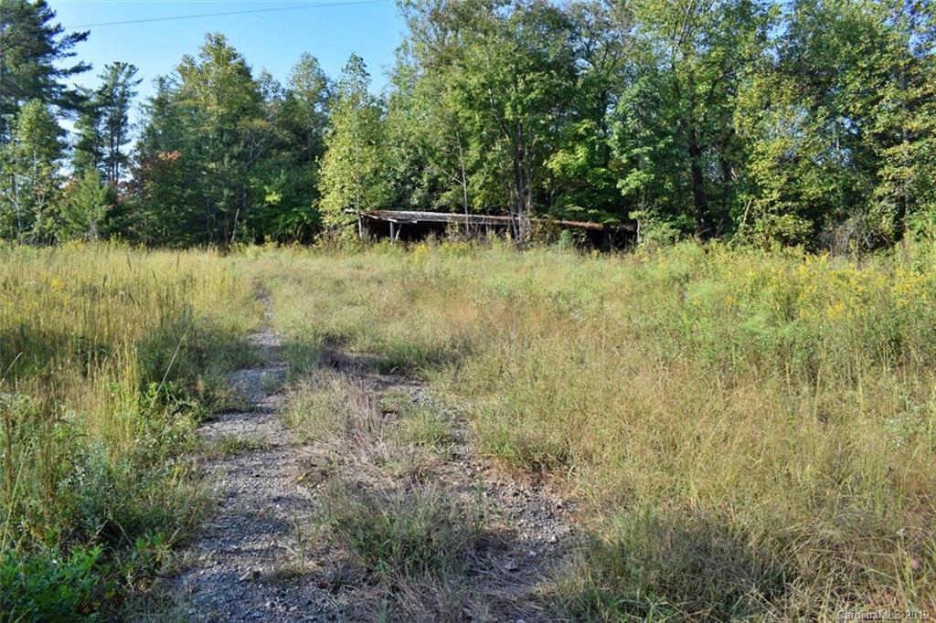 190 Oak Grove Road Landrum, SC 29356 - Photo 6 of 48