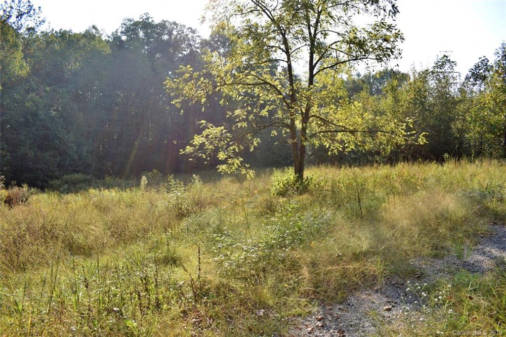 190 Oak Grove Road Landrum, SC 29356 - Photo 7 of 48