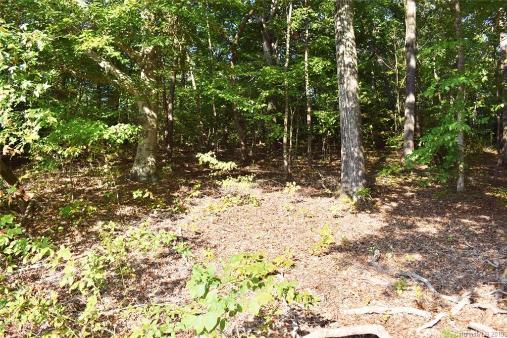 190 Oak Grove Road Landrum, SC 29356 - Photo 8 of 48
