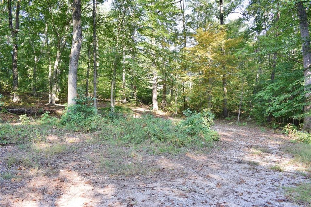 190 Oak Grove Road Landrum, SC 29356 - Photo 10 of 48