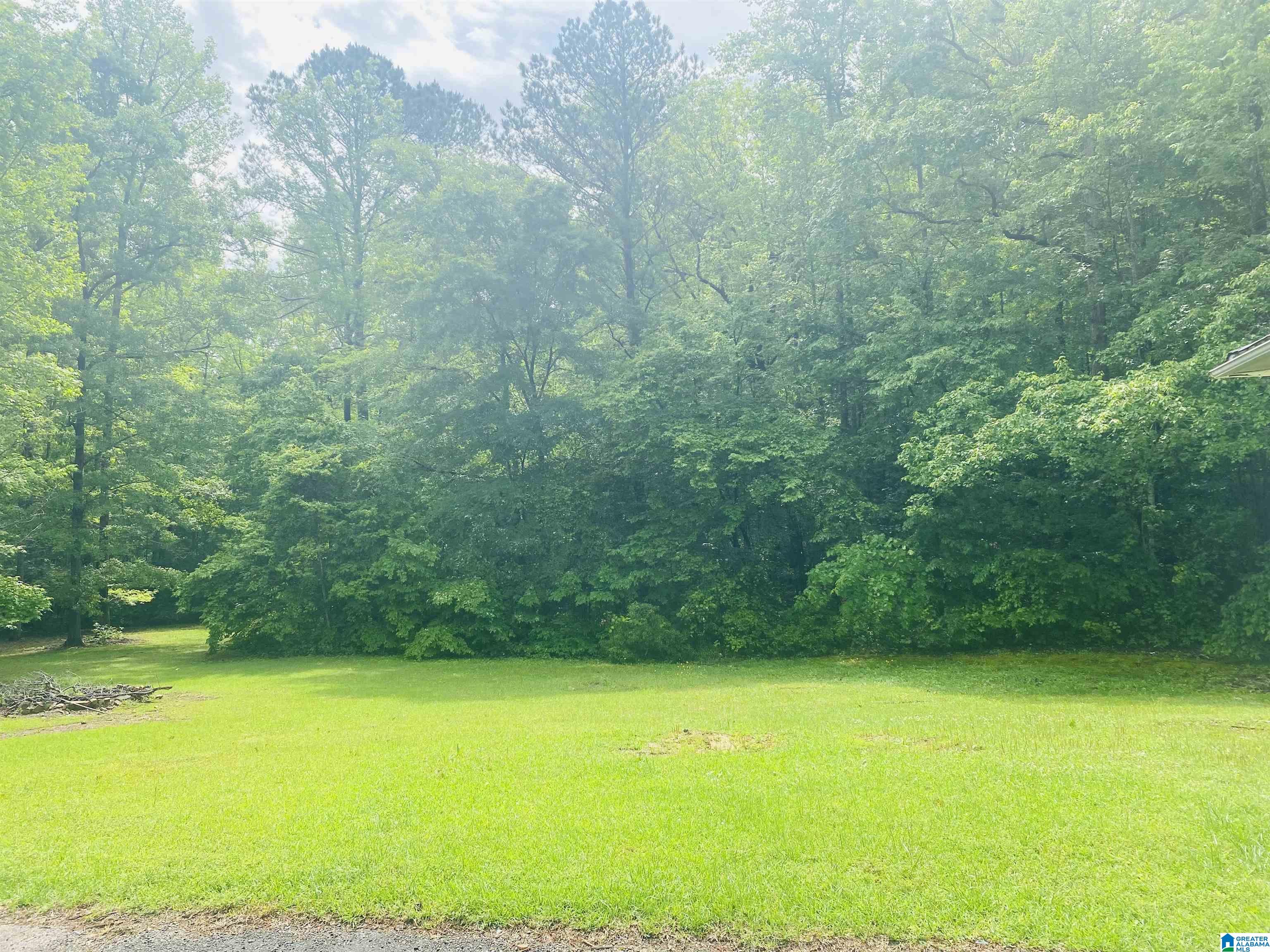 2590 Camp Branch Road West Blocton, AL 35184 - Photo 4 of 19