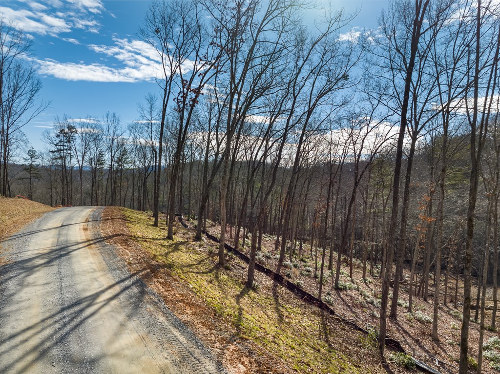 14 Bearden Farm Blue Ridge, GA 30513 - Photo 11 of 23