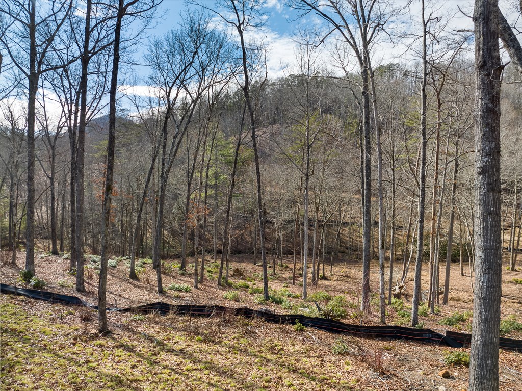 14 Bearden Farm Blue Ridge, GA 30513 - Photo 12 of 23