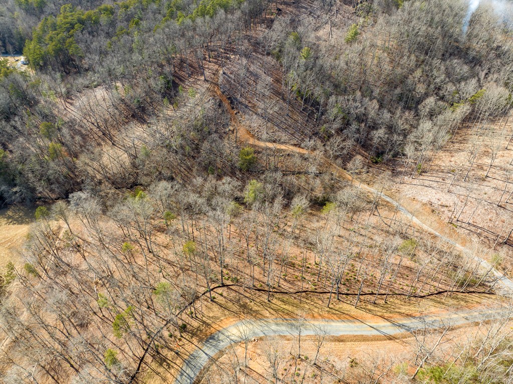14 Bearden Farm Blue Ridge, GA 30513 - Photo 13 of 23